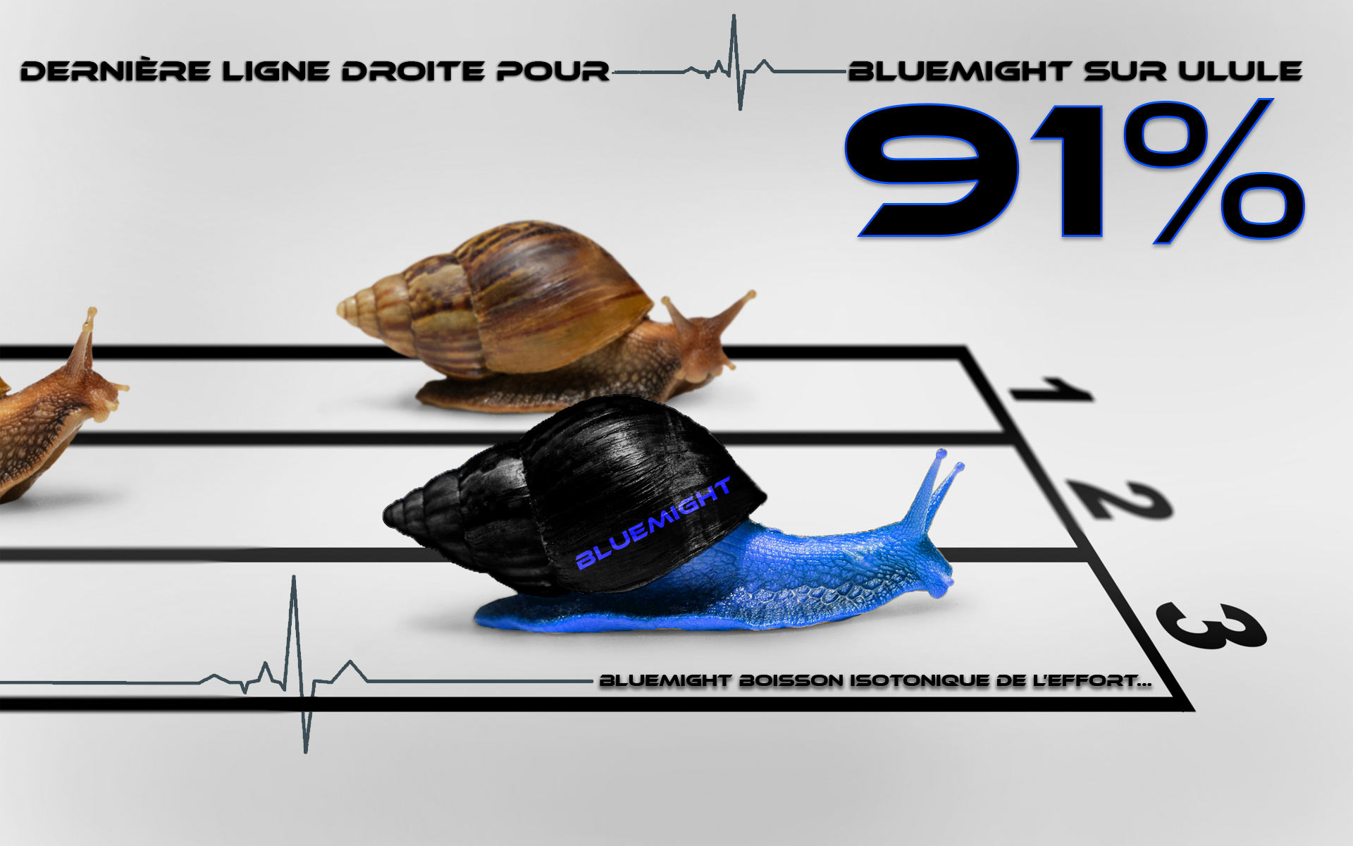 Ulule Fin de Projet Bluemight